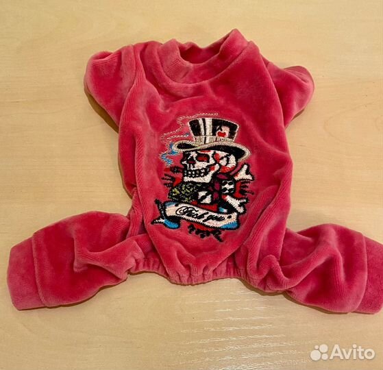 Одежда для маленьких пород собак