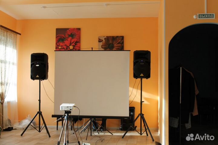 Аренда проектора и экрана