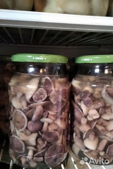 Грибы солёные и маринованные