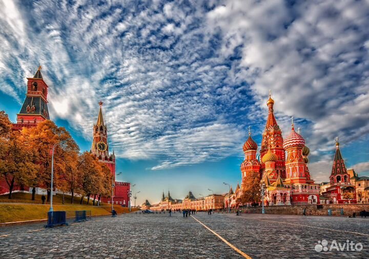 Свой человек в Москве / Помощник / Курьер