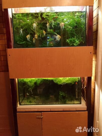 Стеллаж для аквариумов