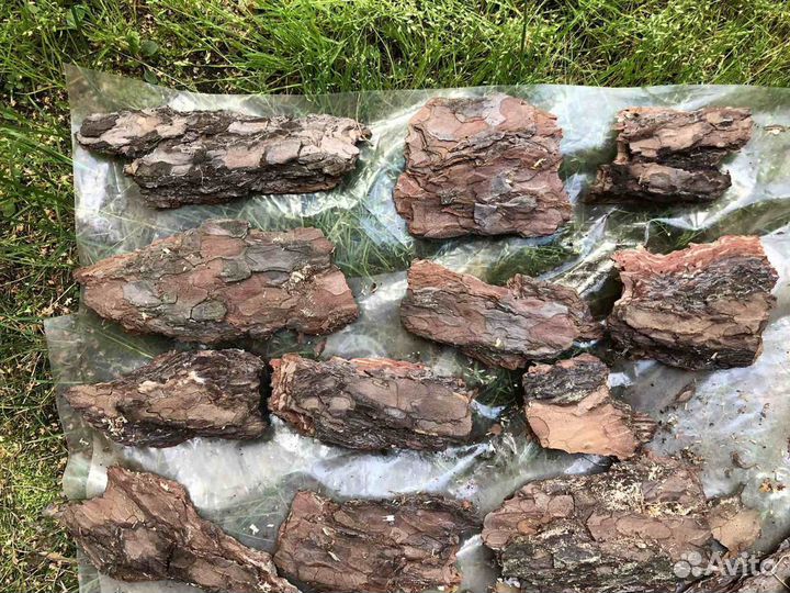 Кора сосны мульча