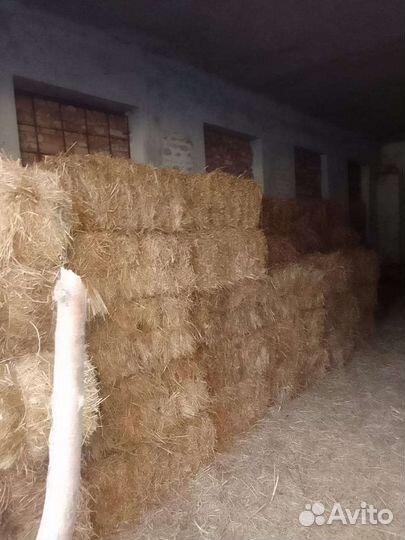 Сено в тюках