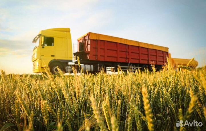 Водитель категории CE