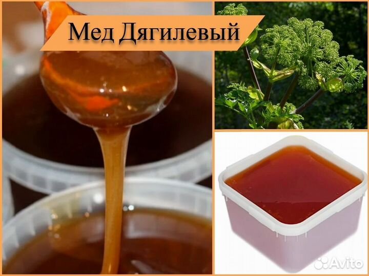 Мед натуральный (липовый, гречишный). Алтай