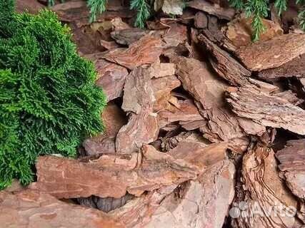 Мульча, кора кедровая