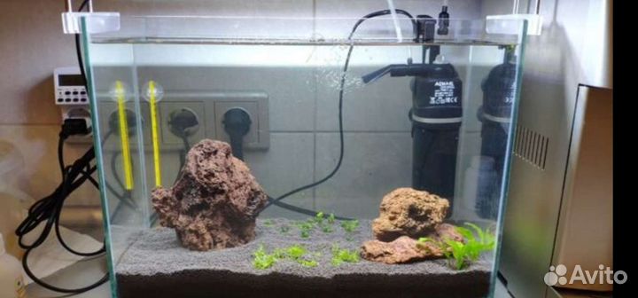 Лава за 1кг-любой вес вулканическая. для аквариума