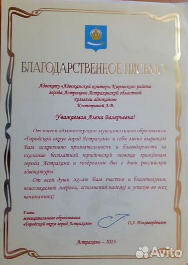 Адвокат по уголовным, гражданским делам