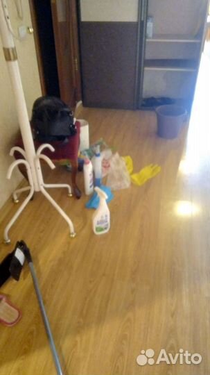 Генеральная уборка