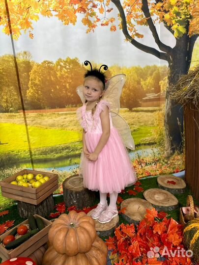 Костюм самой красивой бабочки)