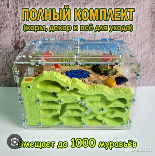 Муравьиная ферма с муравьями