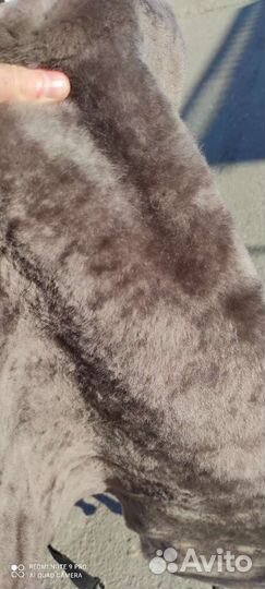 Шкуры овечьи козий Шкура