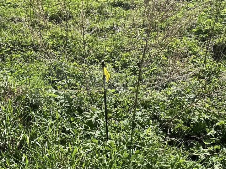 Участок 12,4 сот. (СНТ, ДНП)