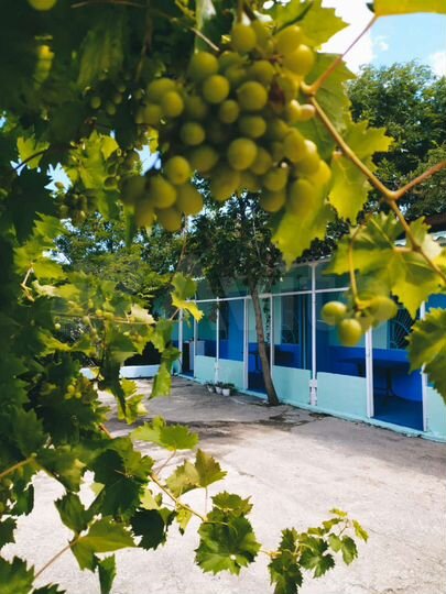 Комната 12 м² в 2-к., 1/1 эт.