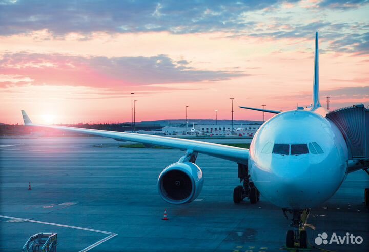 Упаковщик бортового питания в аэропорт