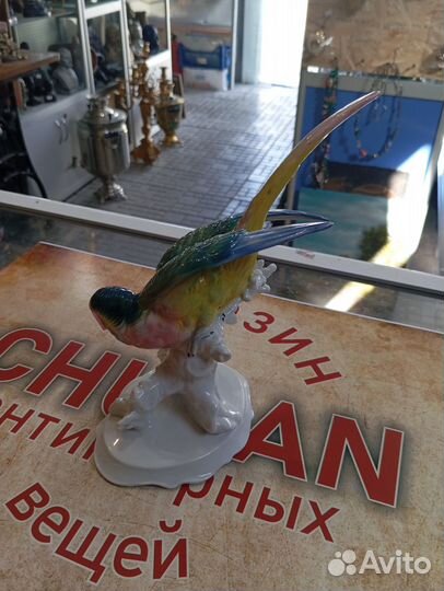 Фарфоровая статуэтка попугай Германия