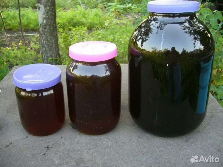 Мед гречишный и разнотравье урожай 2023