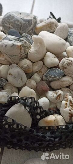 Морская галька