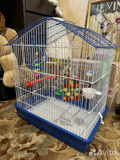 Клетка для птиц