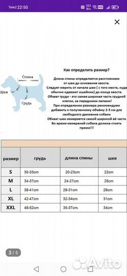 Одежда для собак