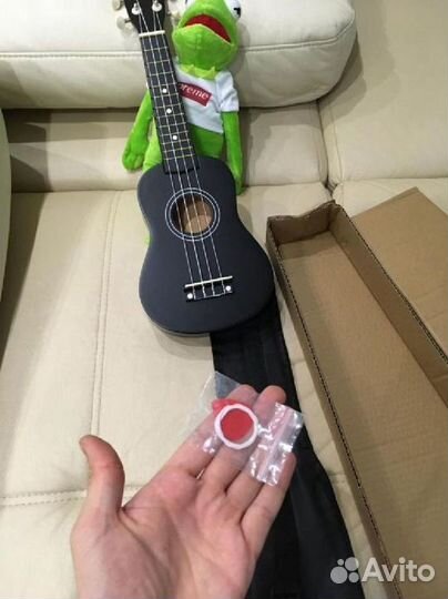 Новая укулеле и чехол