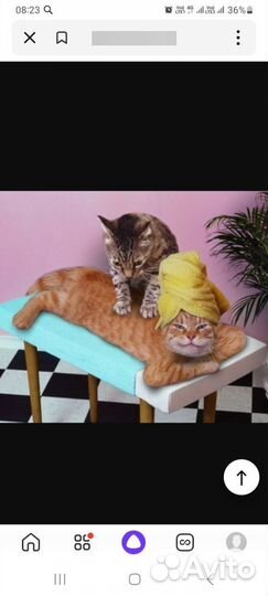 Услуги массажиста