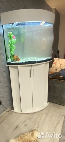 Аквариум 170 литров с тумбой