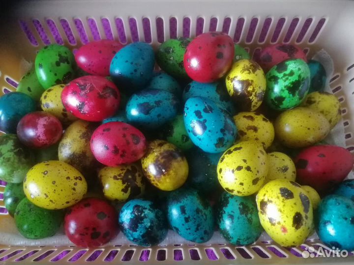 Перепелиное яйцо с бесплатной доставкой