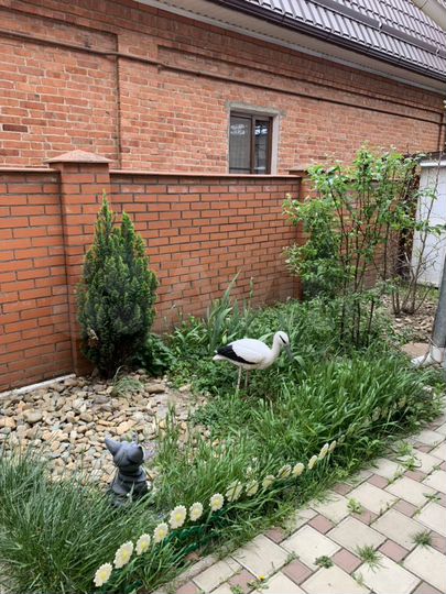 Дом 60 м² на участке 2 сот.