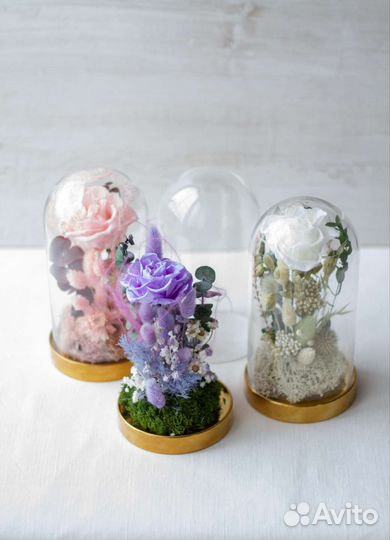 Букет из сухоцветов