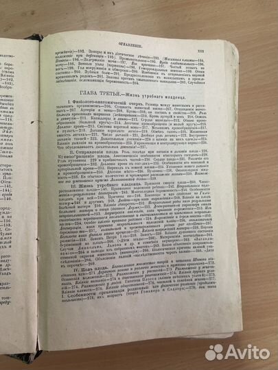Книга 1905 г.Мать и дитя В Н Жук