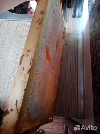 Рамка меда в сотах