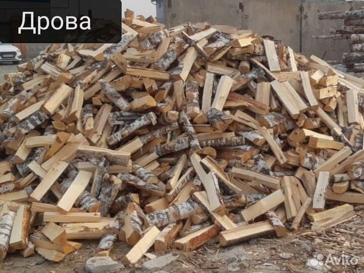 Дрова, береза