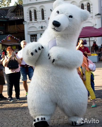 Продаю ростового медведя для мероприятий