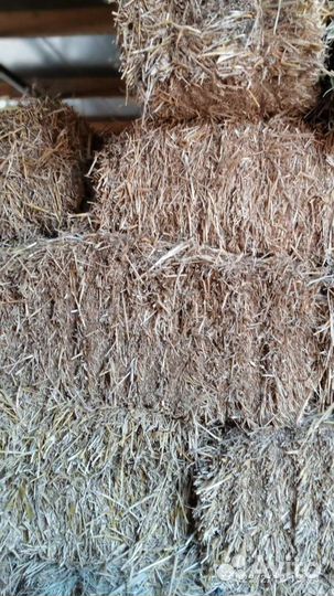 Солома пшеничная в тюках