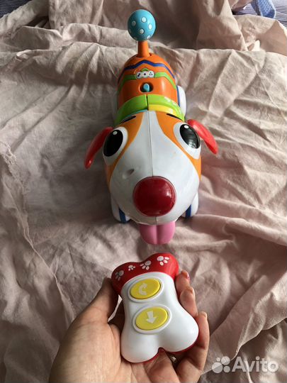 Собака на пульте упоавления BabyGo