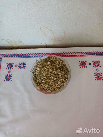 Цветки ромашки