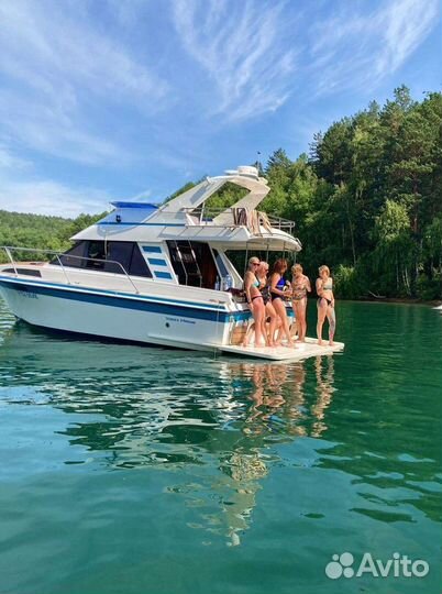 Аренда катера