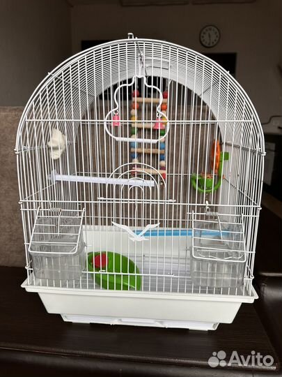 Клетка для волнистого попугая