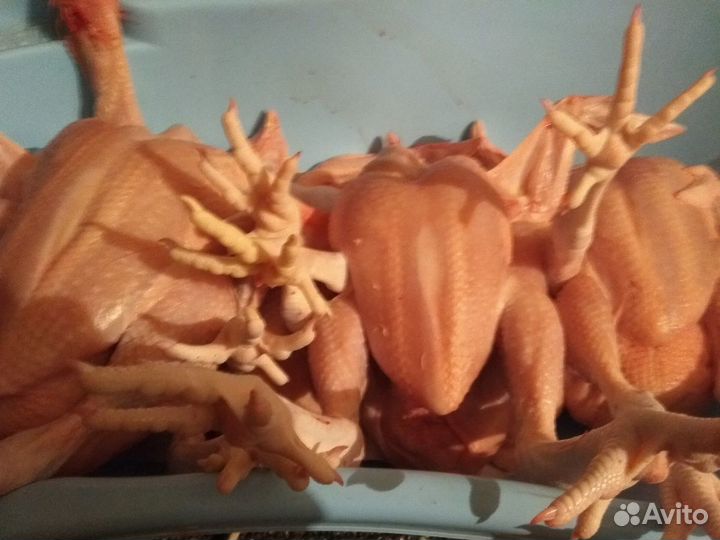 Мясо Куры Утки