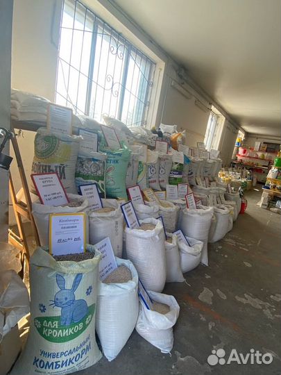 Комбикорм для молодняка уток от 3 недель и старше