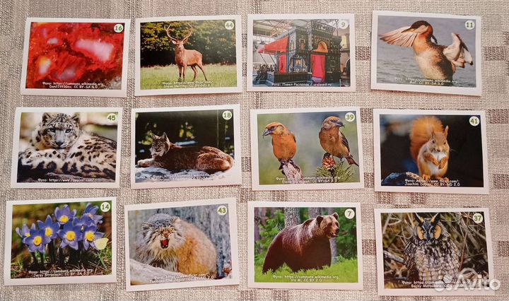 Наклейки обмен/продажа