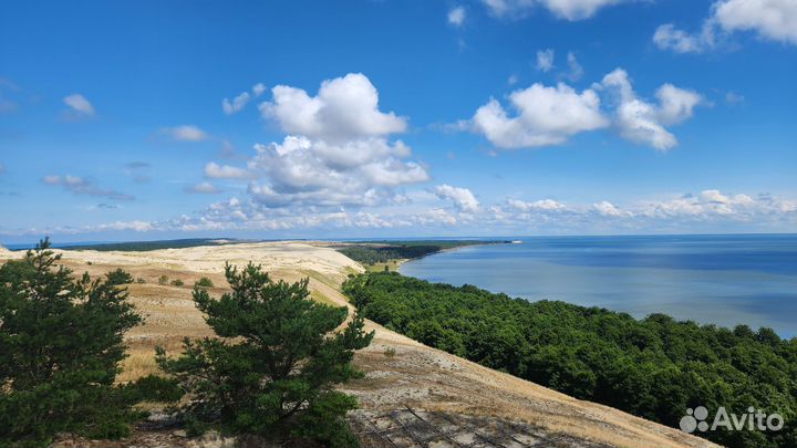Экскурсии на Куршскую косу