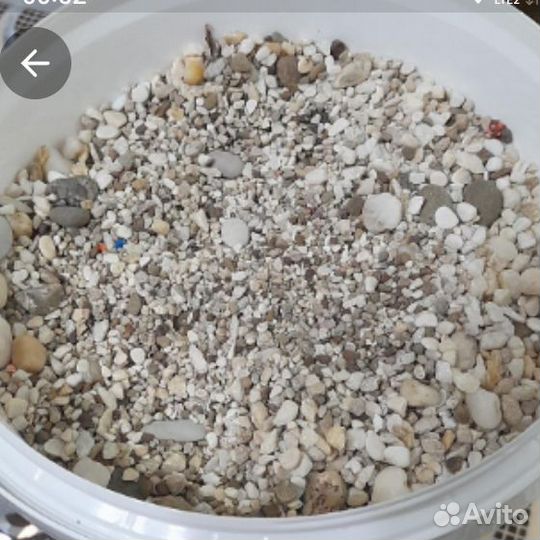 Аквприум. аэрлиф. грунт