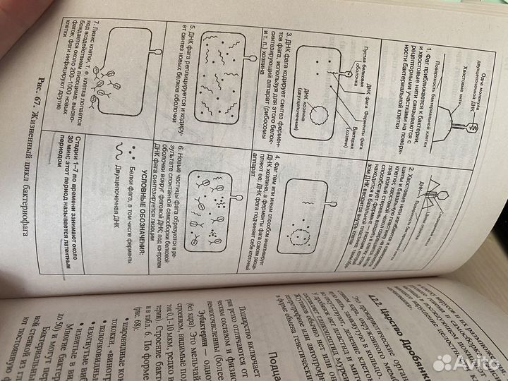 Репетитор по биологии Т.А. Шустанова