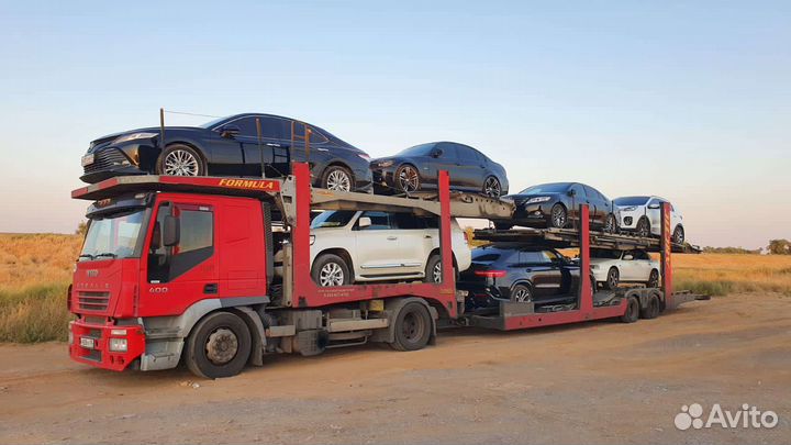 Представитель в Москве, России