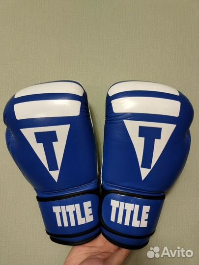 Боксерские перчатки Twins Special 14 oz