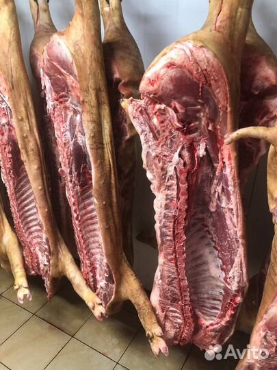 Мясо свинина,наборы,пол туши,четвертины