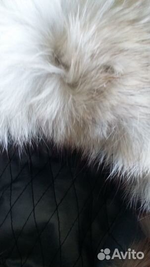 Шапка меховая песец