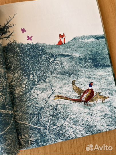 Детская книга Лисенок (Компас Гид)